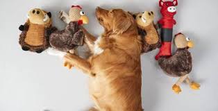 Dog Toys & Gadgets